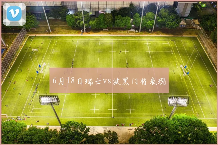 【星空平台app官方下载】6月18日瑞士vs波黑门将表现