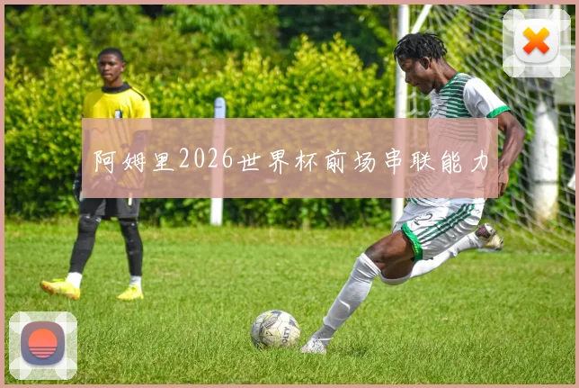 阿姆里2026世界杯前场串联能力