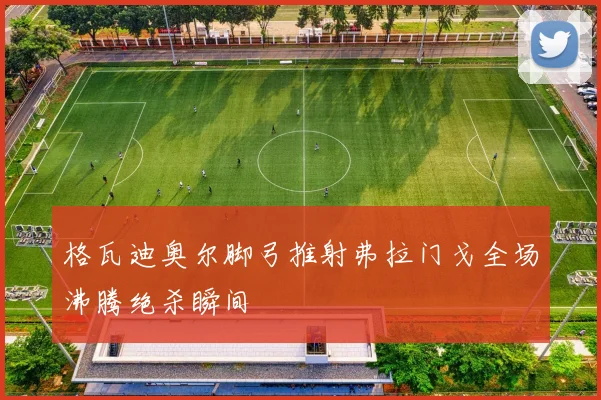 格瓦迪奥尔脚弓推射弗拉门戈全场沸腾绝杀瞬间
