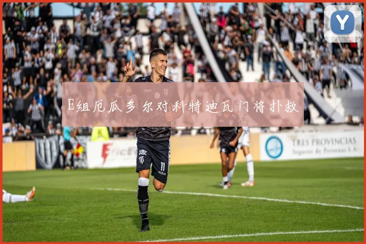 E组厄瓜多尔对科特迪瓦门将扑救