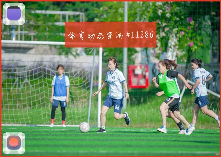 巴拉圭对澳大利亚世界杯关键战分析