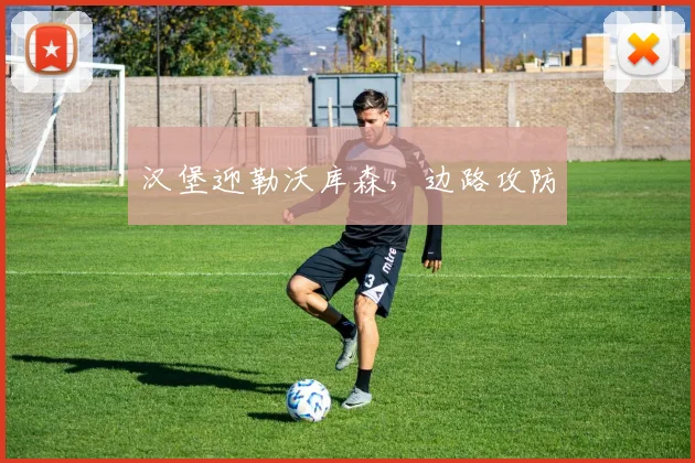 汉堡迎勒沃库森，边路攻防