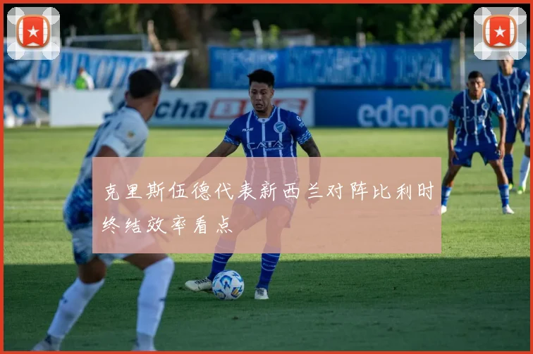克里斯伍德代表新西兰对阵比利时终结效率看点